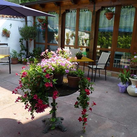 Casa Dodic Bed & Breakfast Trieste Luaran gambar